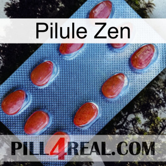 Zen Pill 06